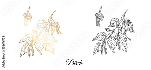 Drawn birch branch. Monochrome and gold. On an isolated white background. Vector illustration.