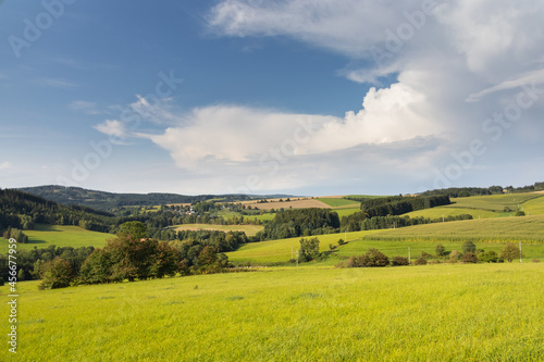 Summer landscape with green meadows, pastures and trees
