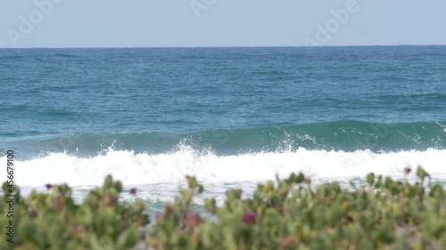 Blue turquoise water surf, big tide waves on sunny beach, Encinitas California USA. Pacific ocean coast, greenery and flowers on sea shore. Coastline near Los Angeles, grass and plants on shoreline.