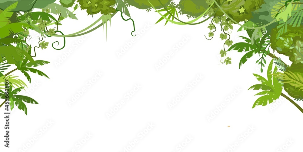 Rainforest canopy. Jungle frame. Branches of tropical trees, grasses and bushes. Horizontal composition Curly shoots and stems of vines. Flat cartoon style. Green exotic landscape. Vector.