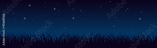 Blue dark night sky with lot of shiny stars and grass ground silhoutte background
