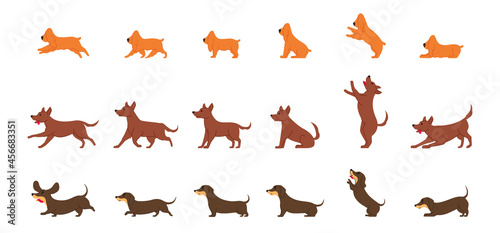 Fototapeta Naklejka Na Ścianę i Meble -  Dachshund, Spaniel dog and ordinary mongrel dog various poses flat line graphic isolated