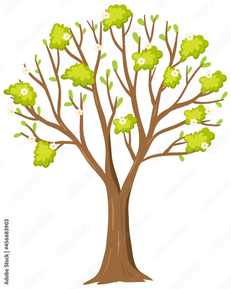 Obraz premium Simple tree on white background