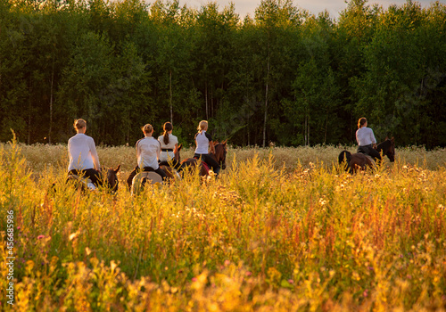 A group of girls on horses gallops through the meadows with their backs to the camera.
