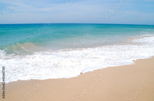 ORILLA EN LA PLAYA