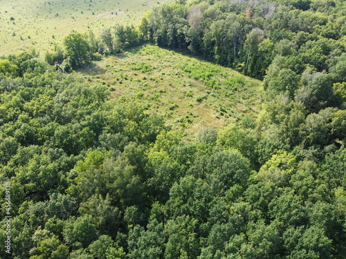 Place of felling of trees in the forest, a clearing. Aerial view of a forest clearing, landscape. Felled forest area. © Oleksii