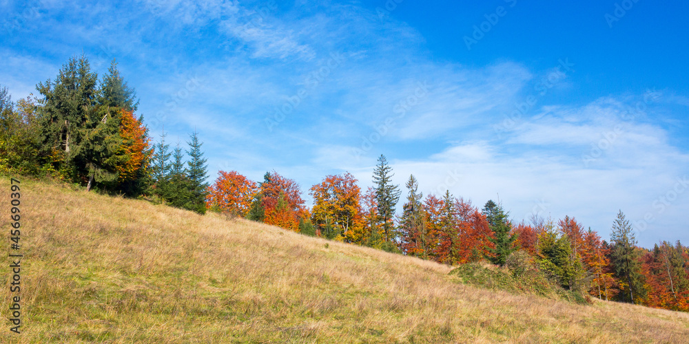 mixed forest on the hill in colorful foliage. wonderful nature environment on a sunny autumn day. clouds on the sky