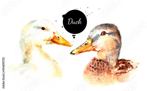 Fotografia Watercolor hand drawn duck head illustration set