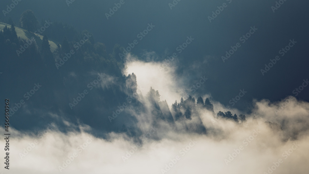 misty valley in the mountains at a morning in september misty valley in the mountains at a morning in september