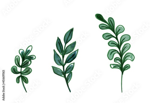 Christmas decoration set of Winter plants. Isolated  white background. Watercolor hand painted illustrations