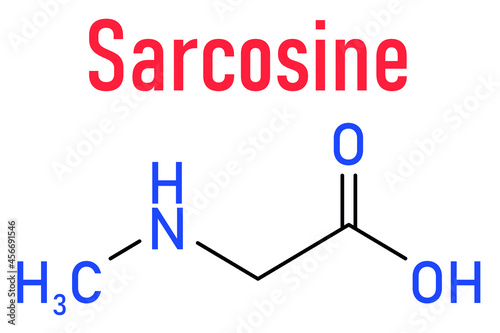 Sarcosine (N-methylglycine) molecule. Skeletal formula.
