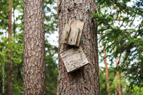 Old broken wooden bird house on tree, on a autumn day. The concept of helping the birds. 