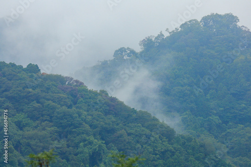 misty morning in the mountains