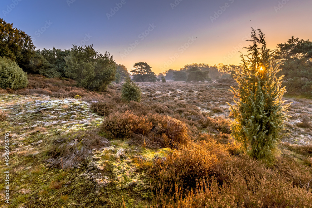 Heathland in hilly terrain on a cold morning