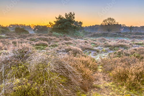 Heathland in hilly terrain on a cold morning photo