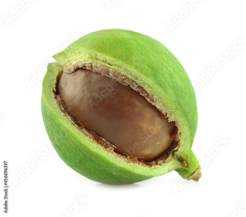Macadamia nuts on white background.