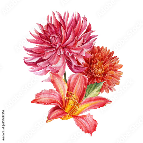 Autumn Watercolor flowers, botanical illustrations, autumn dahlias, chrysanthemum, lily