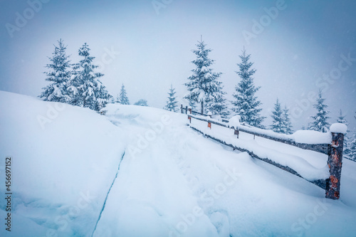 Snowy winter scenery. Amazing morning view of countryside with old road. Huge snowfall in Carpathian mountains. Beauty of nature concept background. © Andrew Mayovskyy