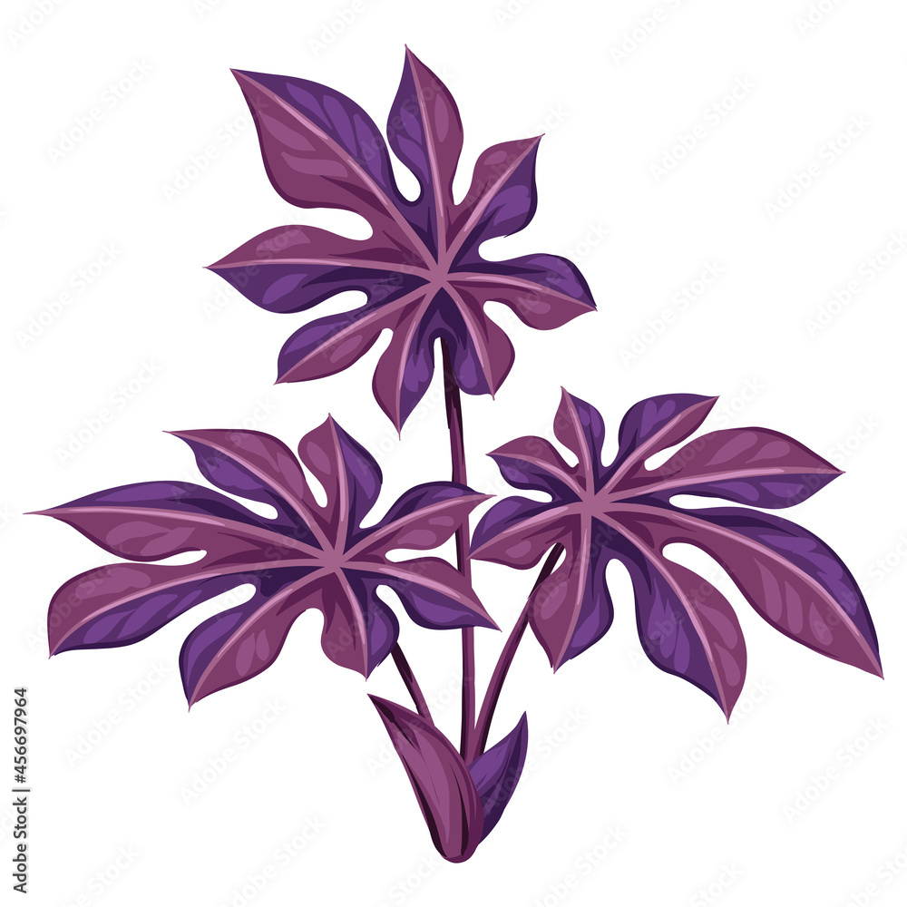 Obraz premium Illustration of palm leaf. Decorative image of tropical foliage and plant.
