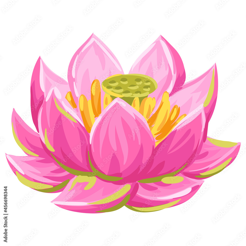 Illustration of lotus flower. Water lily decorative image.