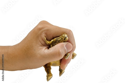 Golden bull in a human hand. Concept ideas for Managing portfolio in bull market is easier when you know the risk. Handle of risk. Isolated on white back ground an