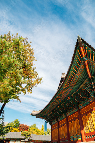 Photography Autumn of Deoksugung Palace in Seoul, Korea