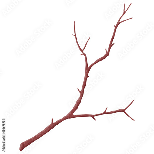 Illustration of stylized bare branch without leaves. Decorative plant.