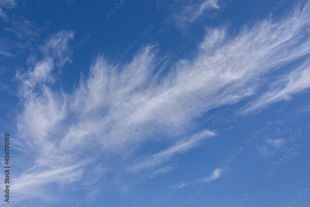 Fototapeta premium White cloud with blue sky background.