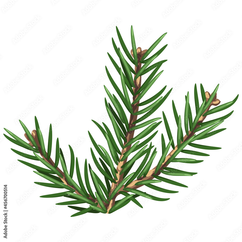 Illustration of spruce branch with needles. Twig for Christmas and New Year design. Decorative plant. Illustration of spruce branch with needles. Twig for Christmas and New Year design. Decorative plant.