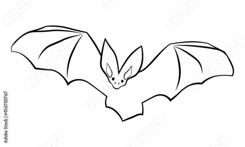 Bat. Vector illustration in a linear style. Design element for decoration for Halloween, magic and mysticism. 
