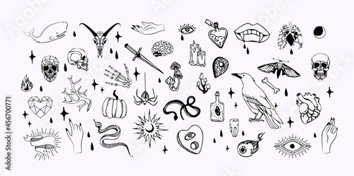 Set of boho hand drawn mystical magic set. Esoteric doodle elements and logo icons with hands, raven dagger. Black outline style. Abstract vector illustration