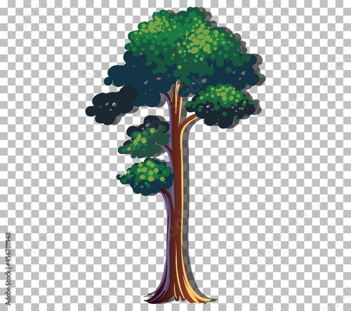 A tree with green leaves on transparent background