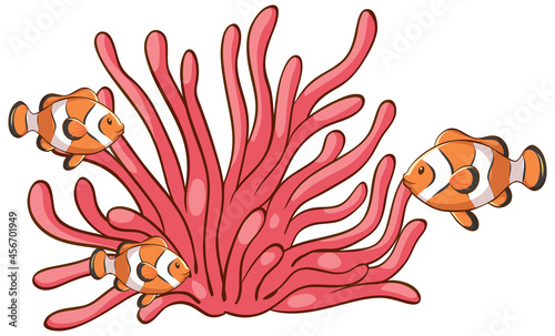 Pink sea coral with clownfishes on white background