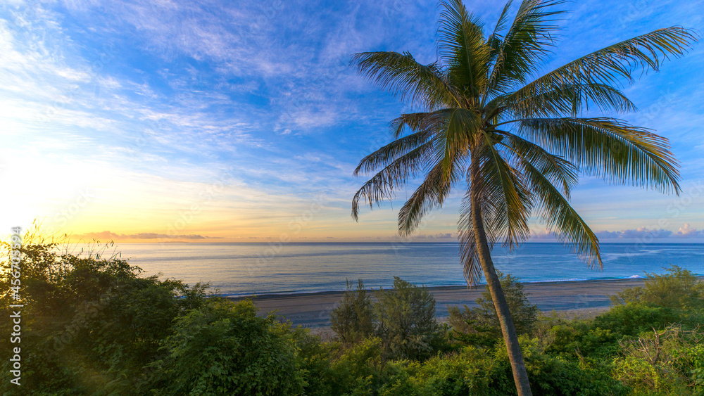 Tropical beach with palm tree at sunrise. Tropical beach with palm tree at sunrise.