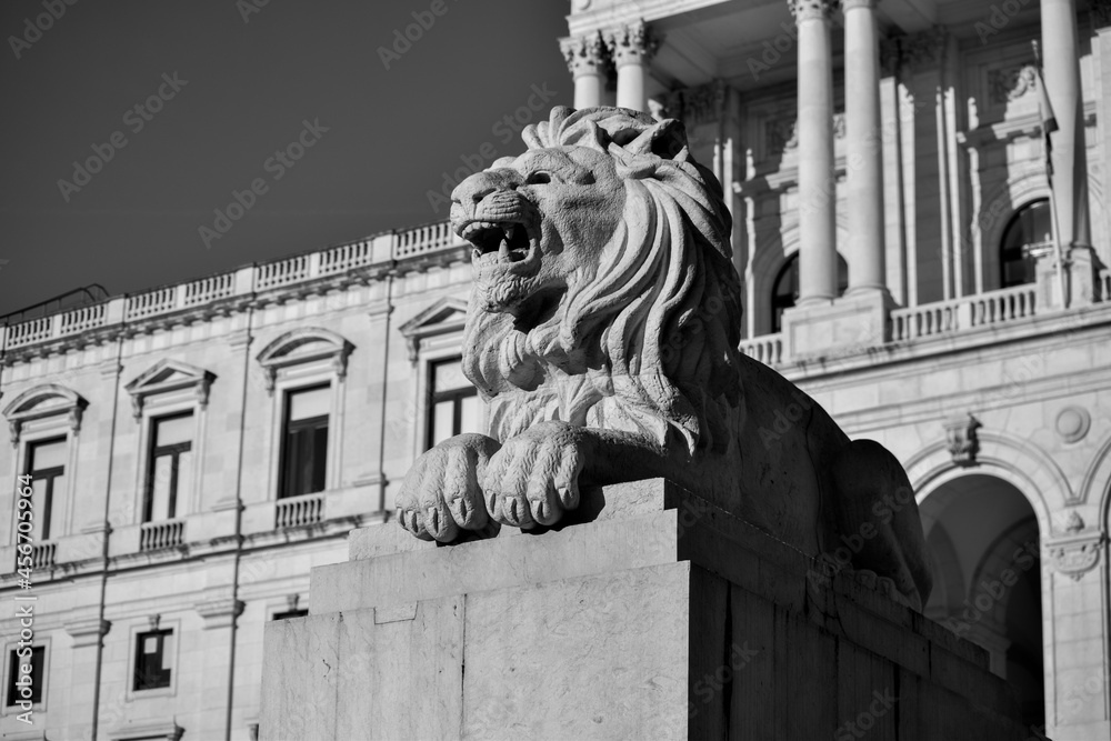 Obraz premium Lion Statue Lisbon