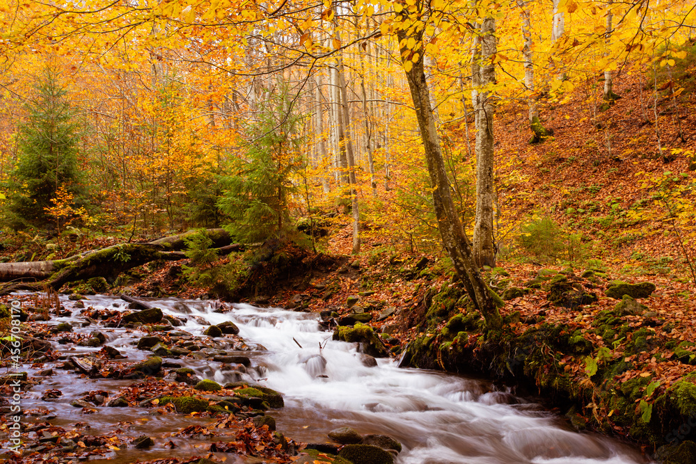 The small mountain stream in the autumn forest The small mountain stream in the autumn forest
