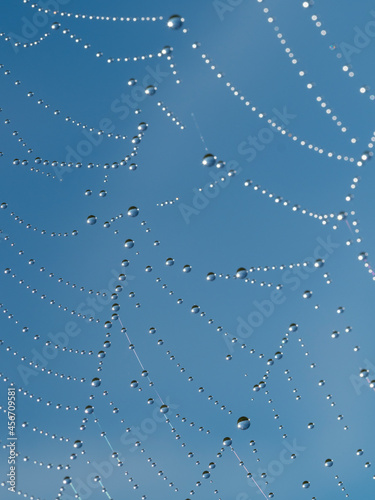 Dew drops on spider mesh - macro photography