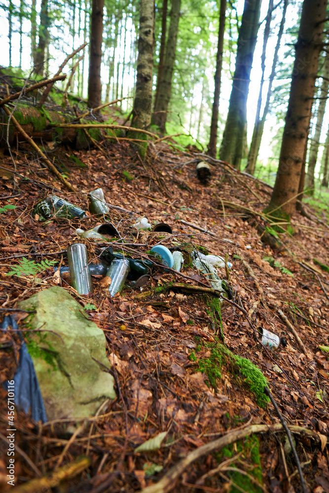 A carelessly throw away plastic water bottles nestled in the forest. Plastic trash in the forest. Tucked nature. Season of autumn. World ecology problem.