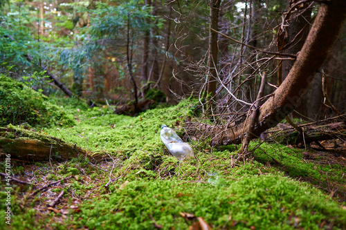 A carelessly throw away plastic water bottle nestled in the moss on a forest path. World ecology problem.