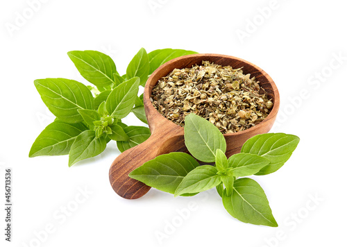 Fresh Basil leaves with dry basil in wooden spoon in closeup on white background