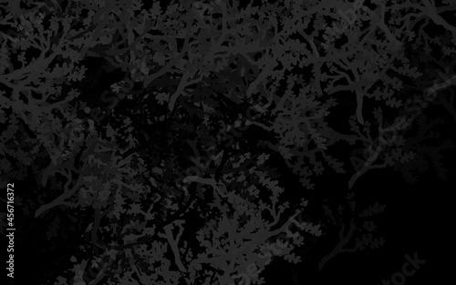Wallpaper Mural Dark Gray vector abstract backdrop with trees, branches. Torontodigital.ca