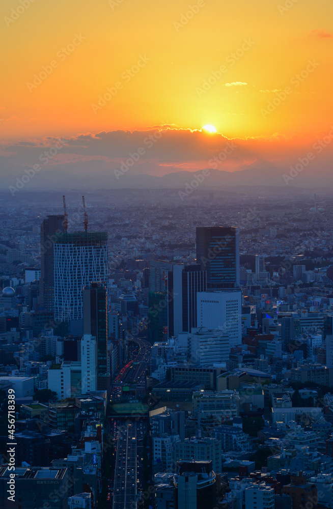 Fototapeta premium Ariel view of Tokyo cityscape in sunset