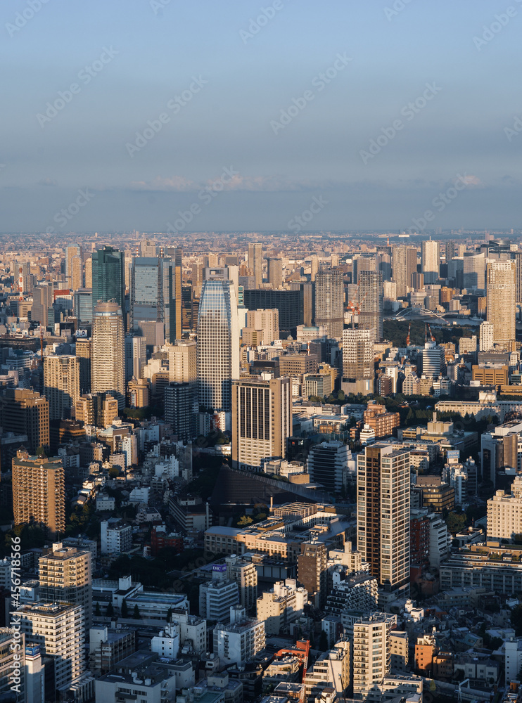 Ariel view of Tokyo cityscape in sunset