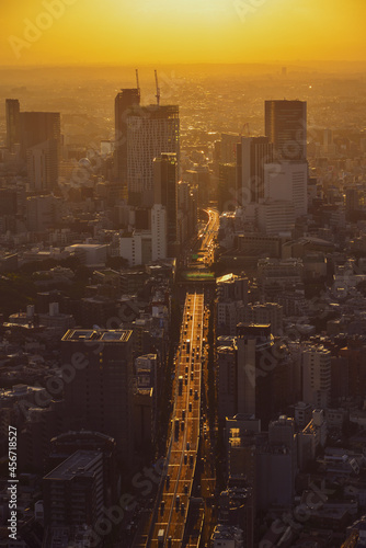 Photography Ariel view of Tokyo cityscape in sunset