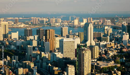 Ariel view of Tokyo cityscape in sunset