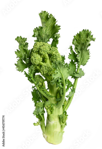 Fresh  broccoli rabe photo