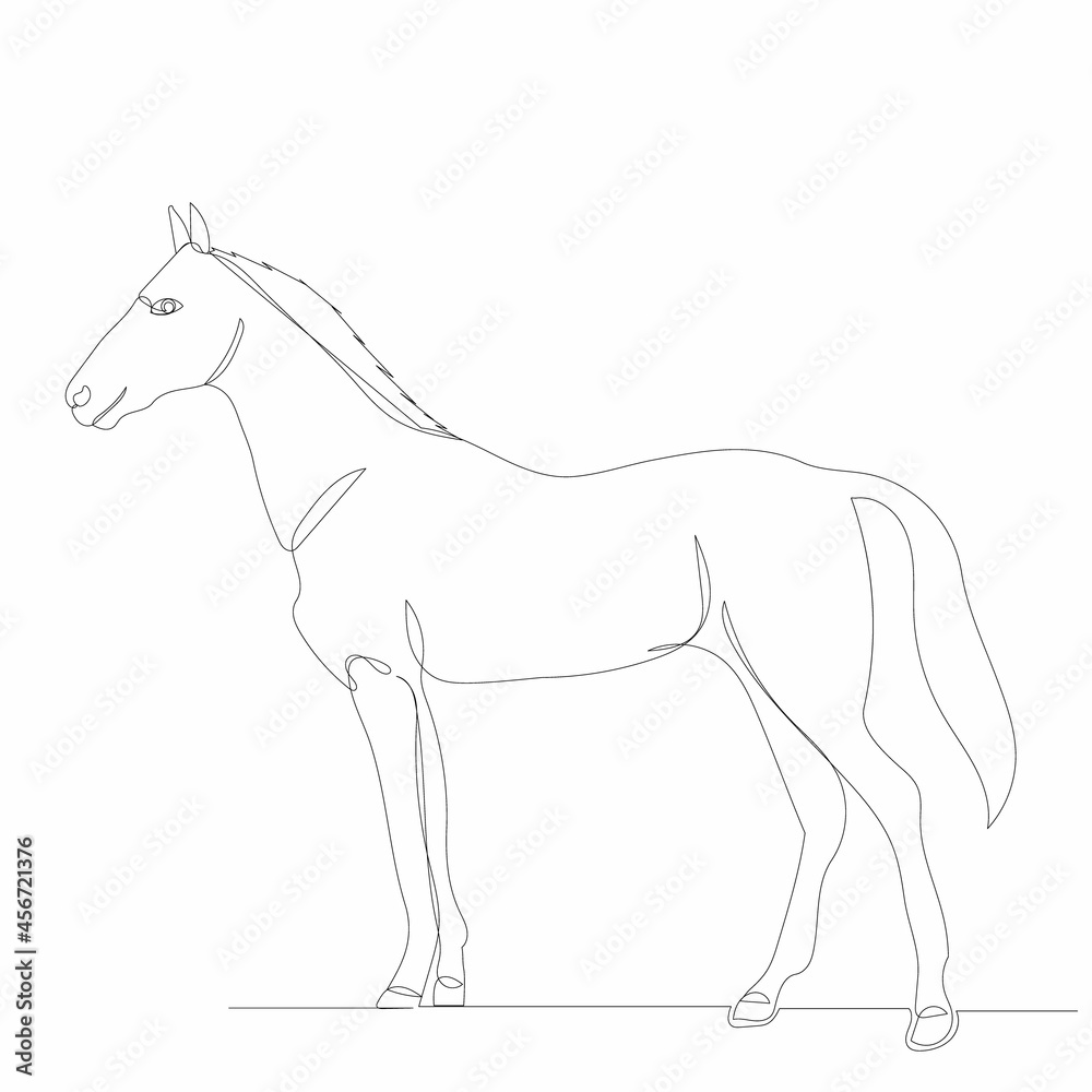 horse drawing by one continuous line, sketch