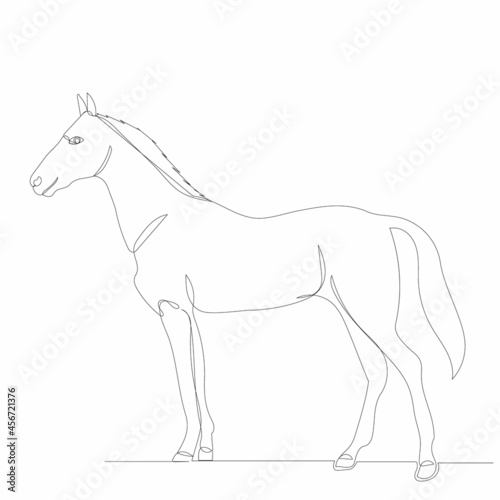 horse drawing by one continuous line  sketch