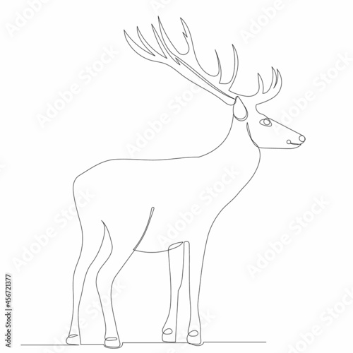 deer drawing by one continuous line  sketch