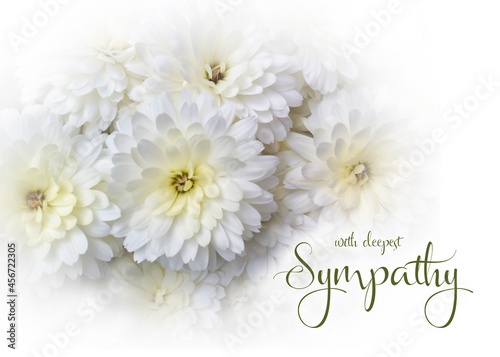 White floral sympathy greeting card. White chrysanthemum with condolence message. Horizontal orientation. Elegant sympathy background. 